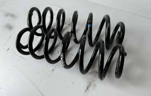 Rear coil spring