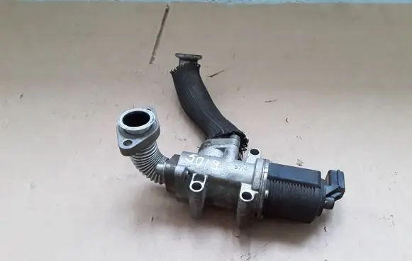 Suzuki SX4 EGR valve 55215832 72254641