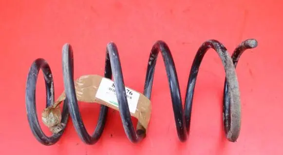 Chevrolet Lacetti Rear coil spring