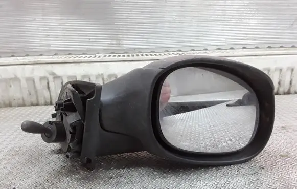 Citroen C3 Manual wing mirror E2011019