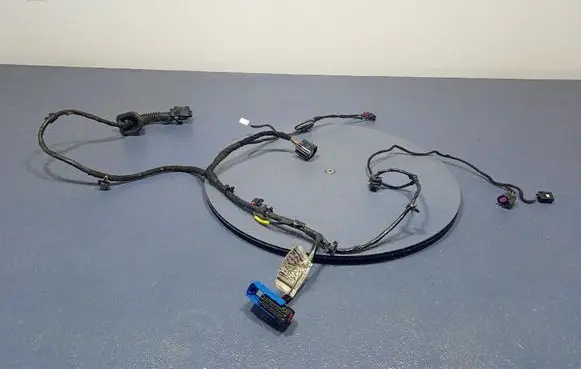 Other wiring loom