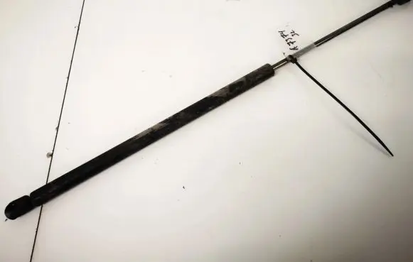 Tailgate/trunk strut/damper