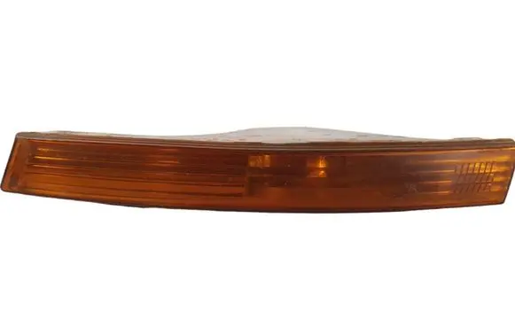 Volkswagen PASSAT B6 Front indicator light 3C0953041F