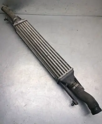 Fiat Punto (199) Intercooler radiator 866452000