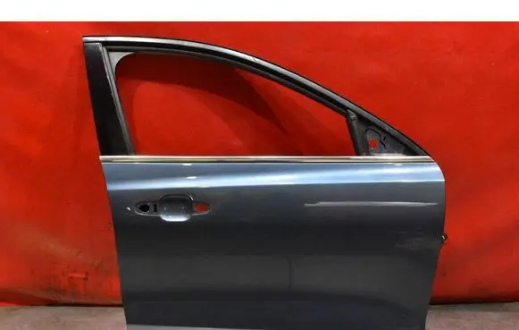 Ford Focus Front door 