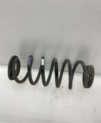Rear coil spring