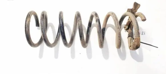 Rear coil spring