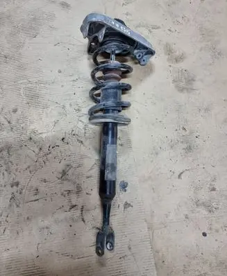 Seat Exeo (3R) Front shock absorber with coil spring E4302301