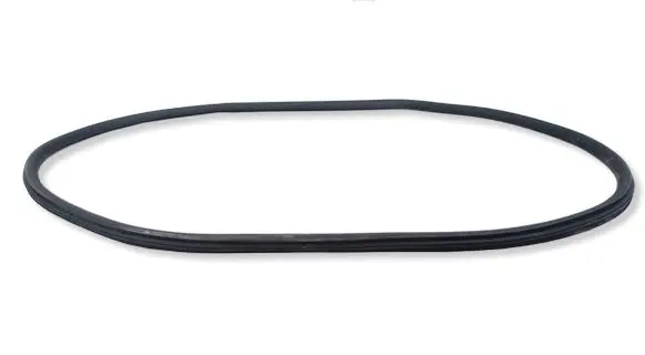Peugeot 208 II Front door rubber seal 