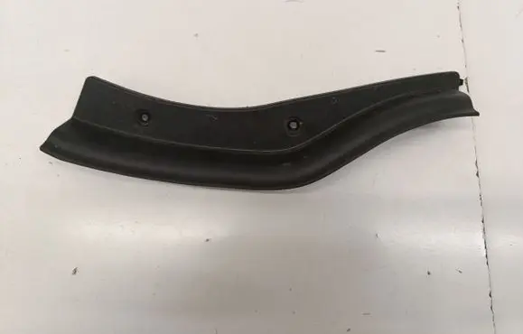 Rear/tail light trim molding