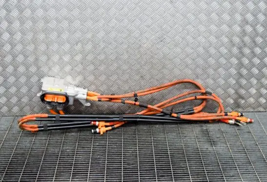 Tesla Model S Other wiring loom 109700000F