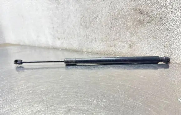 Opel Insignia A Tailgate/trunk strut/damper 13246577 315005777 0172130660N