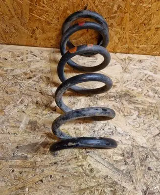 Rear coil spring