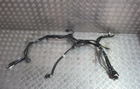 Mercedes-Benz AMG GT 4 x290 w290 Positive wiring loom