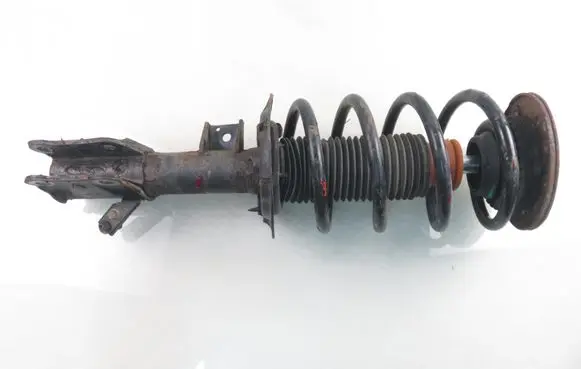 Ford Galaxy Front shock absorber with coil spring