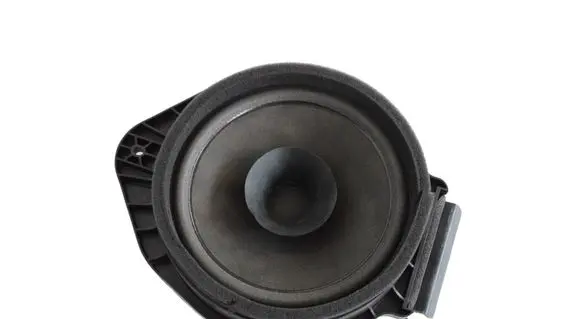 Opel Mokka Rear door speaker 23260861