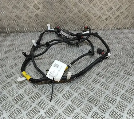 Tesla Model Y Other wiring loom 248905901A