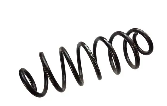 Ford Focus Rear coil spring