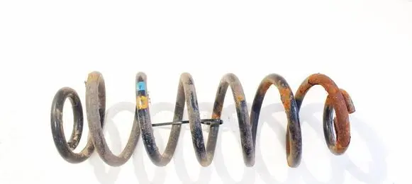 Rear coil spring