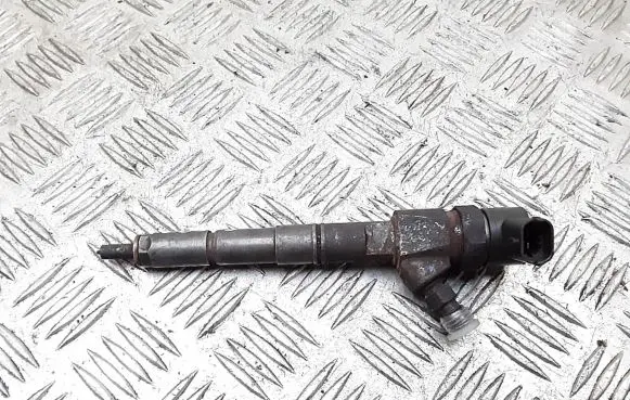 Opel Insignia A Fuel injector 0455110327