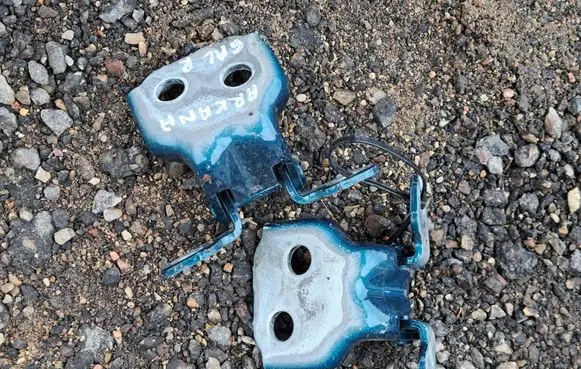 Renault Arkana Rear door hinge set DVDE