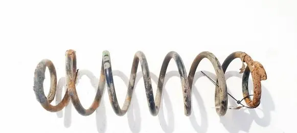 Volkswagen Golf IV Rear coil spring