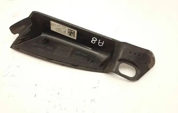 Rear/tail light trim molding