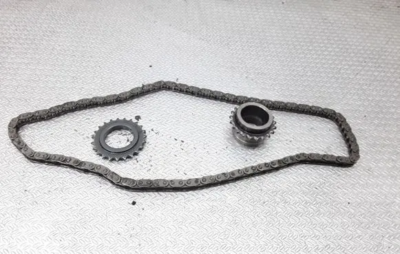 Renault Laguna III Timing chain (engine) 