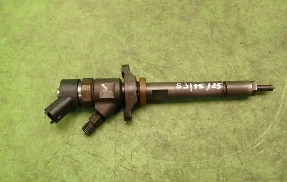 Ford Focus Fuel injector 0445110239
