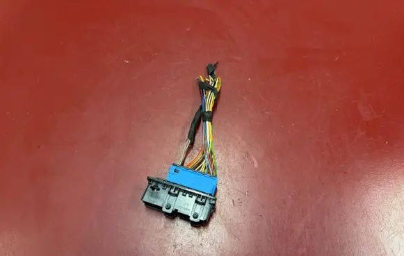 BMW X3 G01 Front door wiring loom 9221027