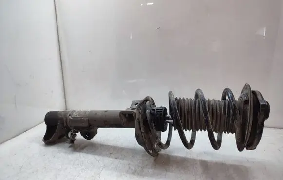 Mercedes-Benz C W204 Front shock absorber with coil spring 317556