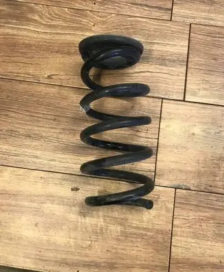 Rear coil spring