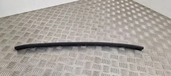 Renault Espace V (RFC) Rubber seal rear door window/glass 
