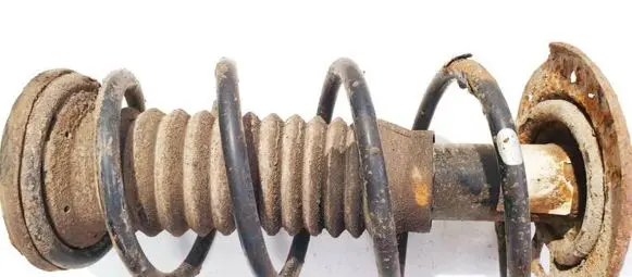 Front coil spring