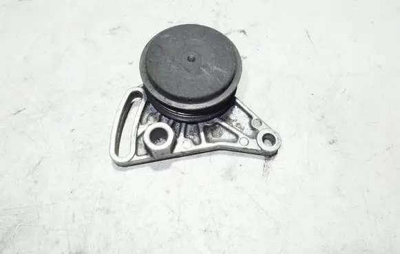 Volkswagen PASSAT B5 Air conditioning tensioner F230875