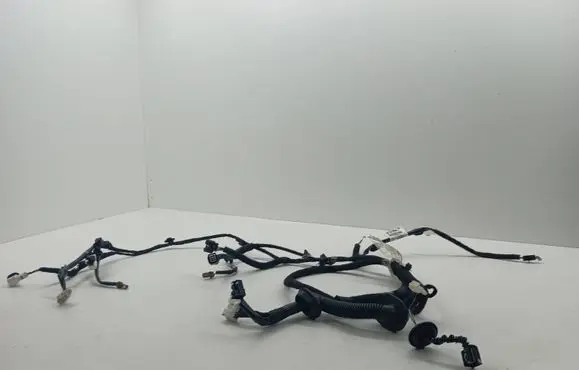 Nissan Juke II F16 Rear door wiring loom 240516PA4A