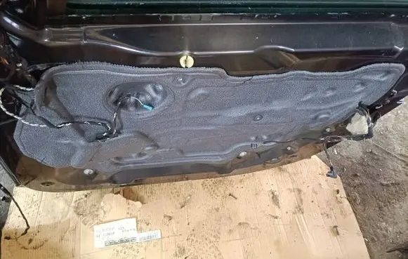 BMW X6 E71 Front door