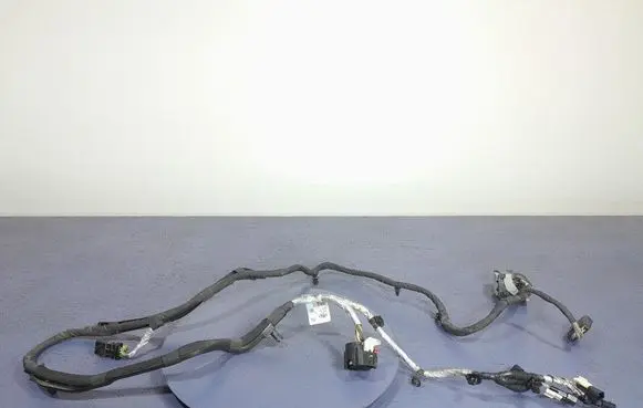 Other wiring loom