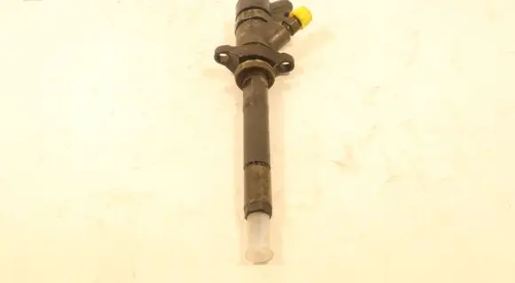 Ford Focus Fuel injector 0445110259