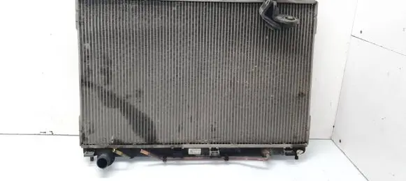 Hyundai ix 55 Coolant radiator 253103J401