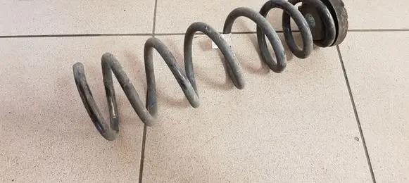 Rear coil spring