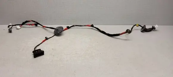 Hyundai Sonata Rear door wiring loom 916503K020