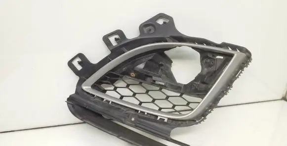 Front fog light trim/grill