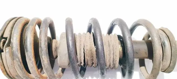 Rear coil spring