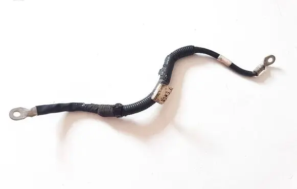 Other wiring loom