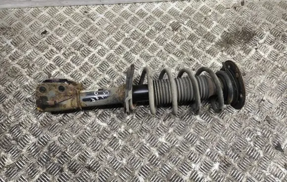 Opel Antara Front shock absorber/damper