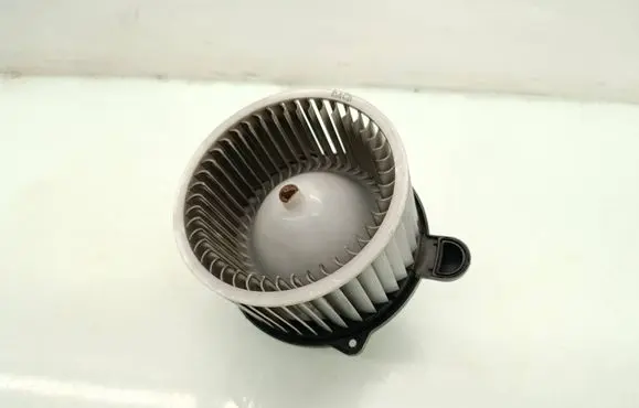 Hyundai Santa Fe Heater fan/blower F00S33F011