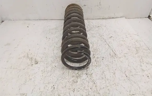 Rear coil spring