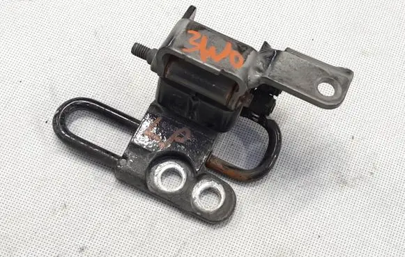 Volkswagen Phaeton Front door lower hinge 3D4831411C