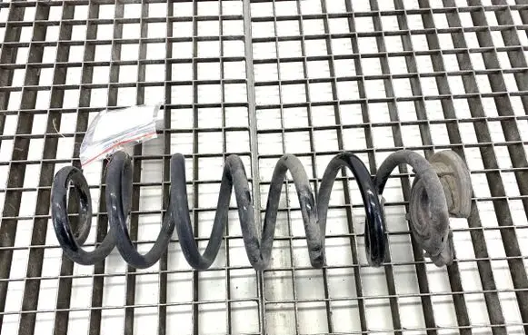Rear coil spring